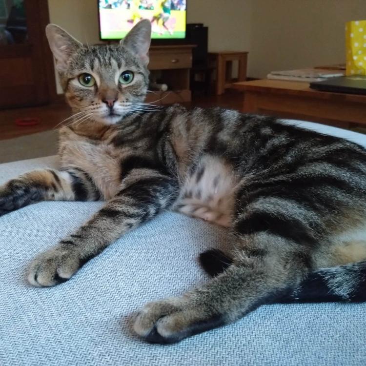 Photo de Sienna