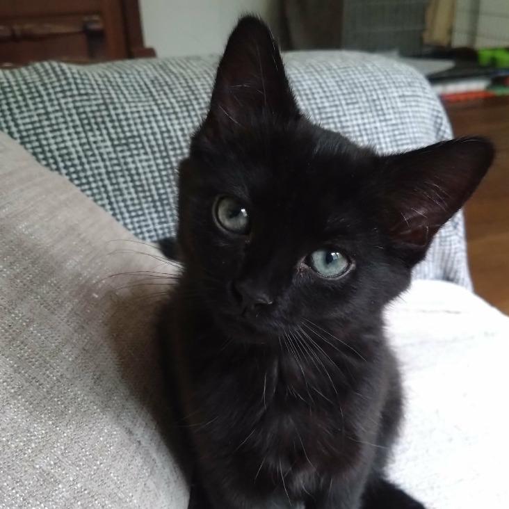 Photo de Jet